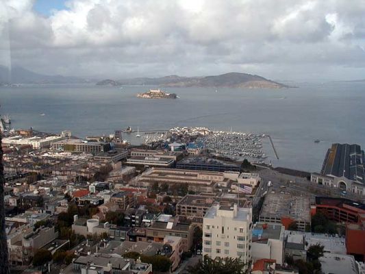 San Francisco Bay
View of San Francisco Bay, Alcatraz and Fisherman's Wharf from Coit Tower
Keywords: Alcatraz San Francisco Bay California